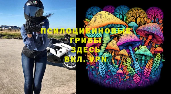 a pvp Алзамай