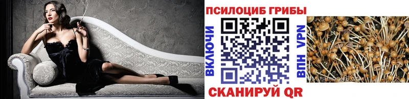 Галлюциногенные грибы Magic Shrooms  Бахчисарай 